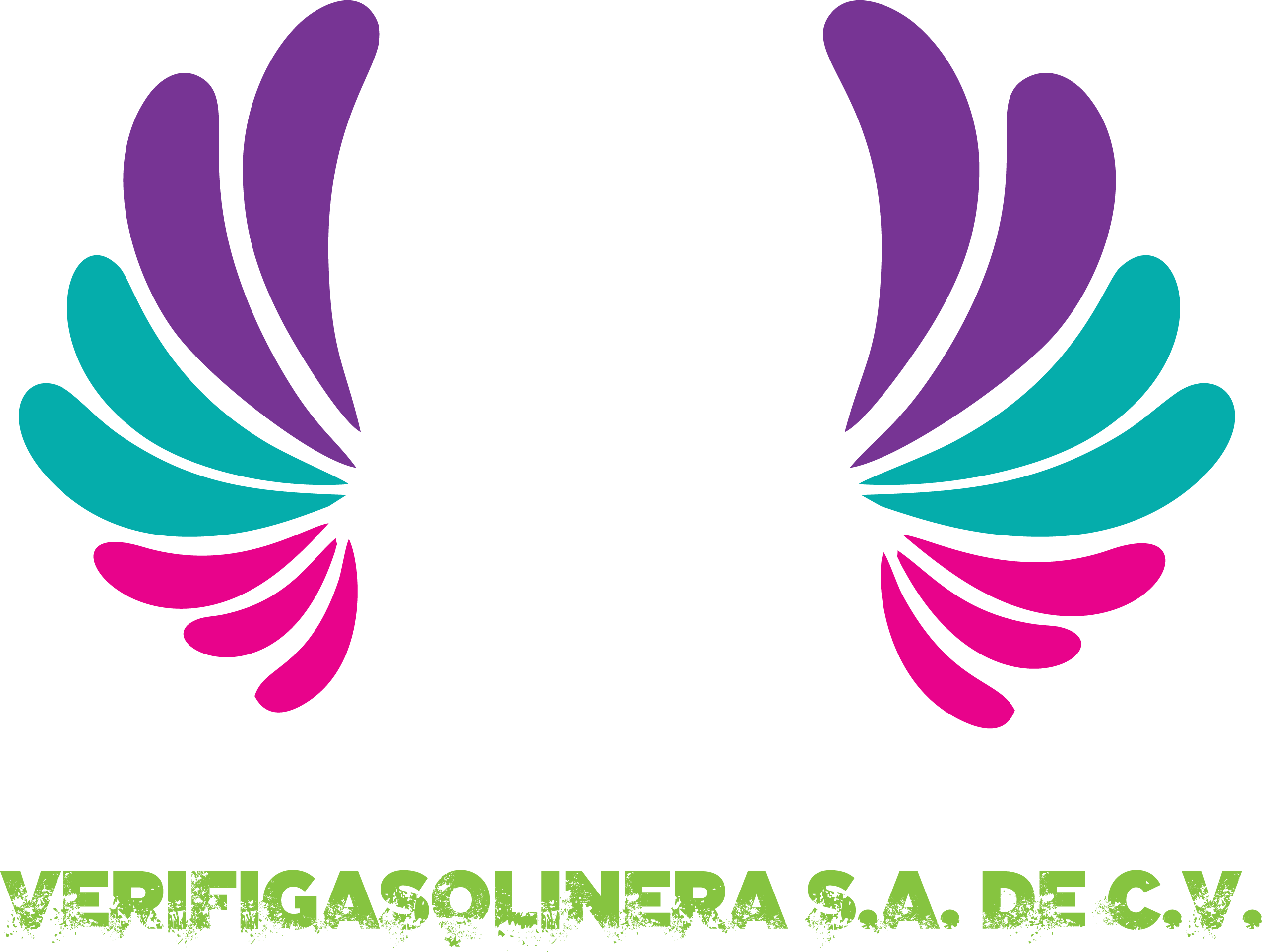 VERIFIGASOLINERA.COM Logo